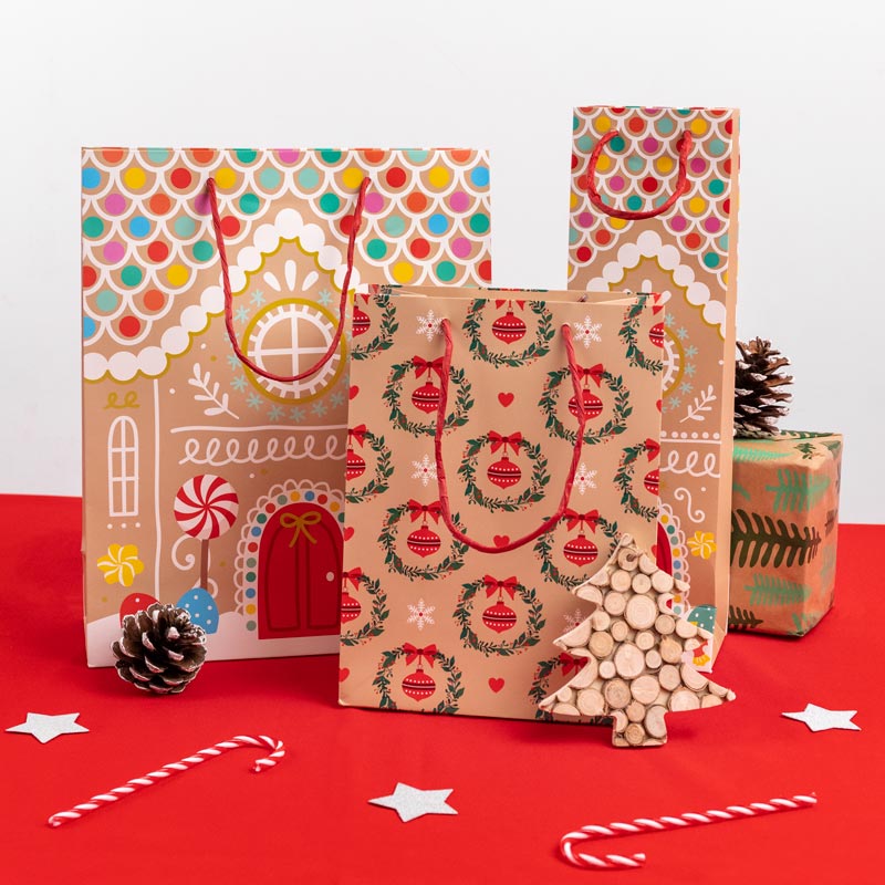 Piccolo sacchetto regalo natalizio in cartone 18 x 10 x 24 cm Ghirlanda natalizia