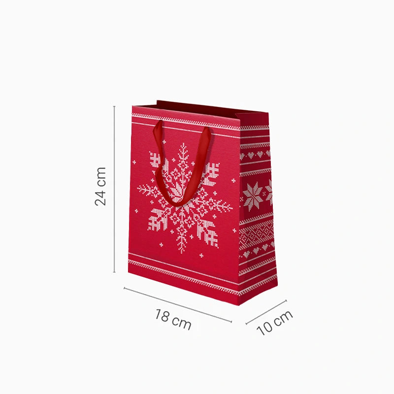 Small Christmas Cardboard Gift Bag 18 x 10 x 24 cm Red Snowflake