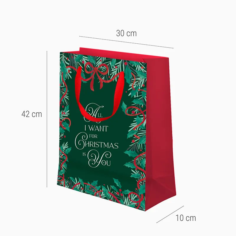Bolsas Regalo Grandes Cartón Navidad 30 x 10 x 42 cm All I Want For Christmas