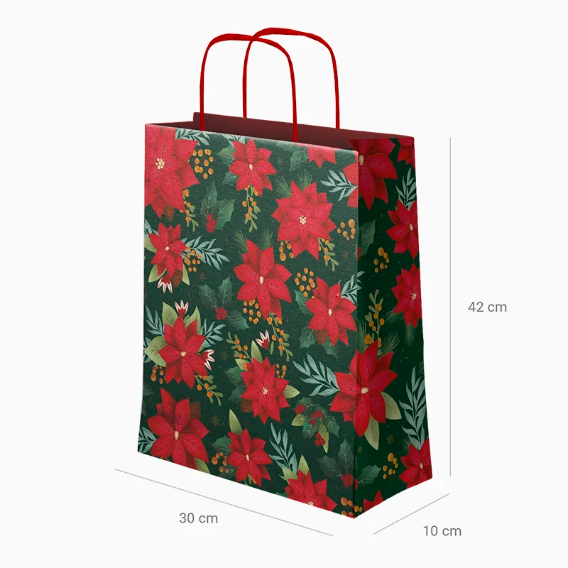 Bolsa Regalo Grande Cartón Navidad 30 x 10 x 42 cm Flor de Pascua