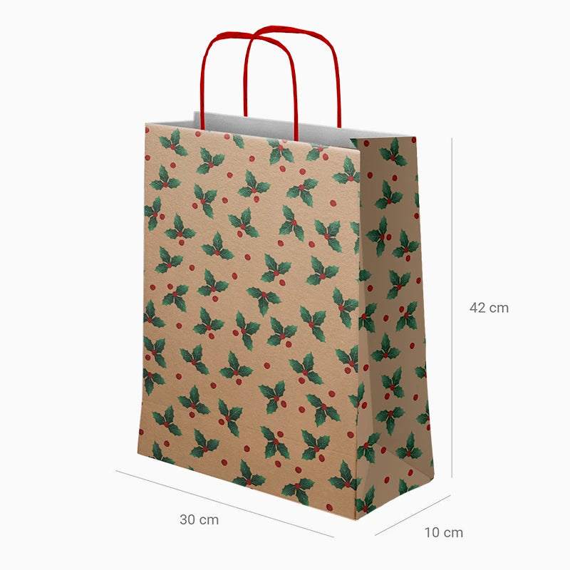 Bolsa Regalo Grande Cartón Navidad 30 x 10 x 42 cm Flor de Pascua