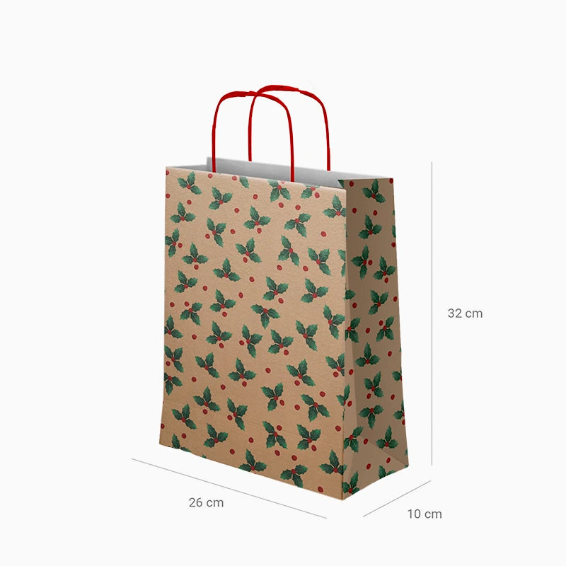 Bolsas Regalo Mediana Cartón Navidad 26 x 10 x 32 cm Flor de Pascua