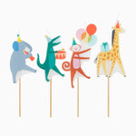 Candela per il compleanno degli animali