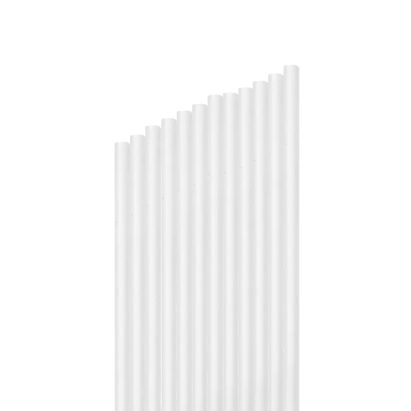 Pajita Plástico PP Reutilizable 20 cm Transparente