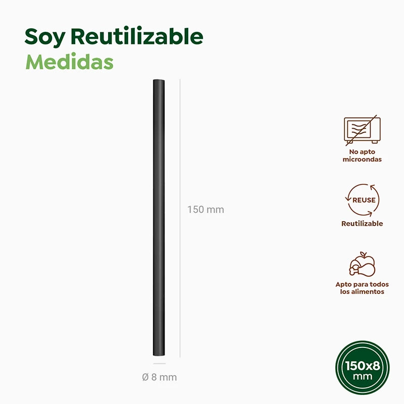 Paille Mojito Réutilisable en Plastique PP 15 cm Noir (250 unités)