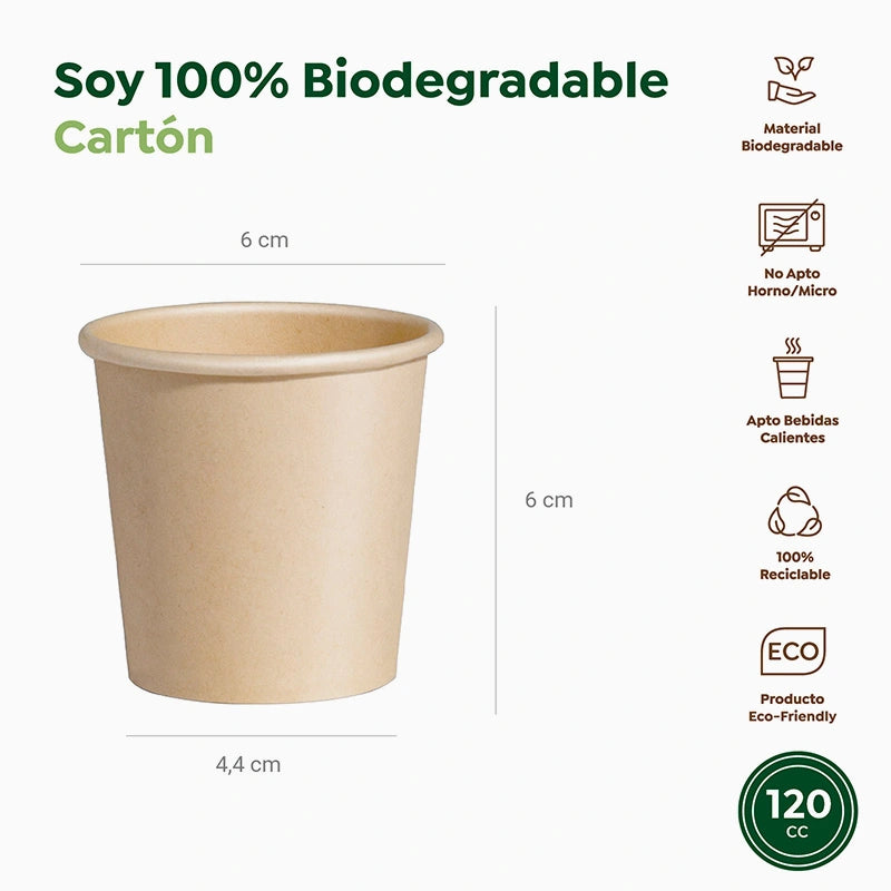 Carton en verre biodégradable 120 cc kraft à emporter