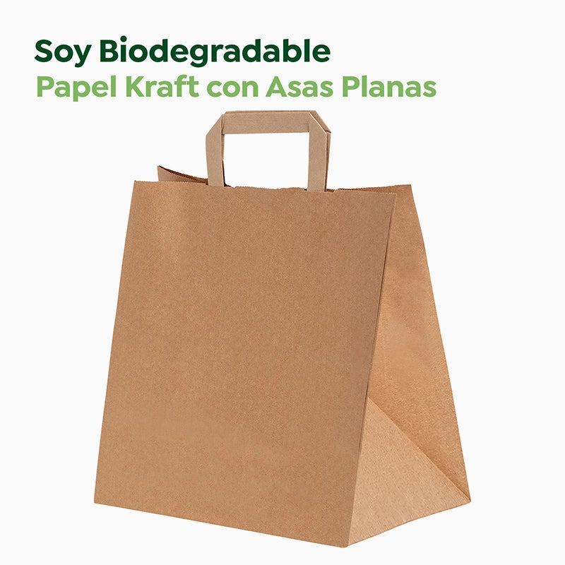 Kraftpapierbeutel 27 x 20 x 32 cm flacher Griff