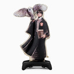 Globo con Base Foil XL 90 x 145 cm Harry Potter con Hedwig (Sin Helio)