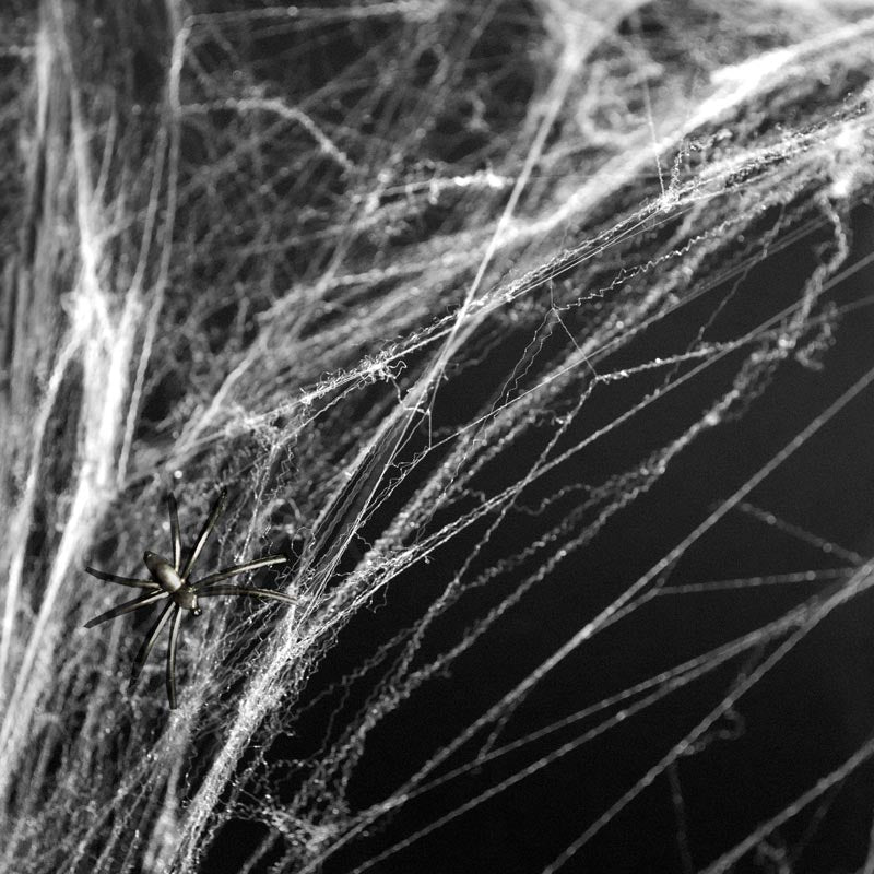 Weißes Halloween -Spinnweb