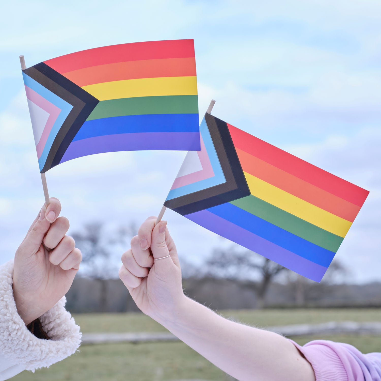 Pride hand flags