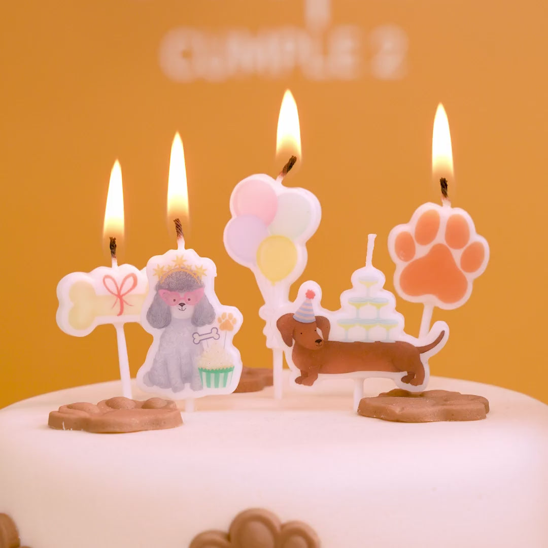 Inspiracion con Kit Arco Globos Mascotas