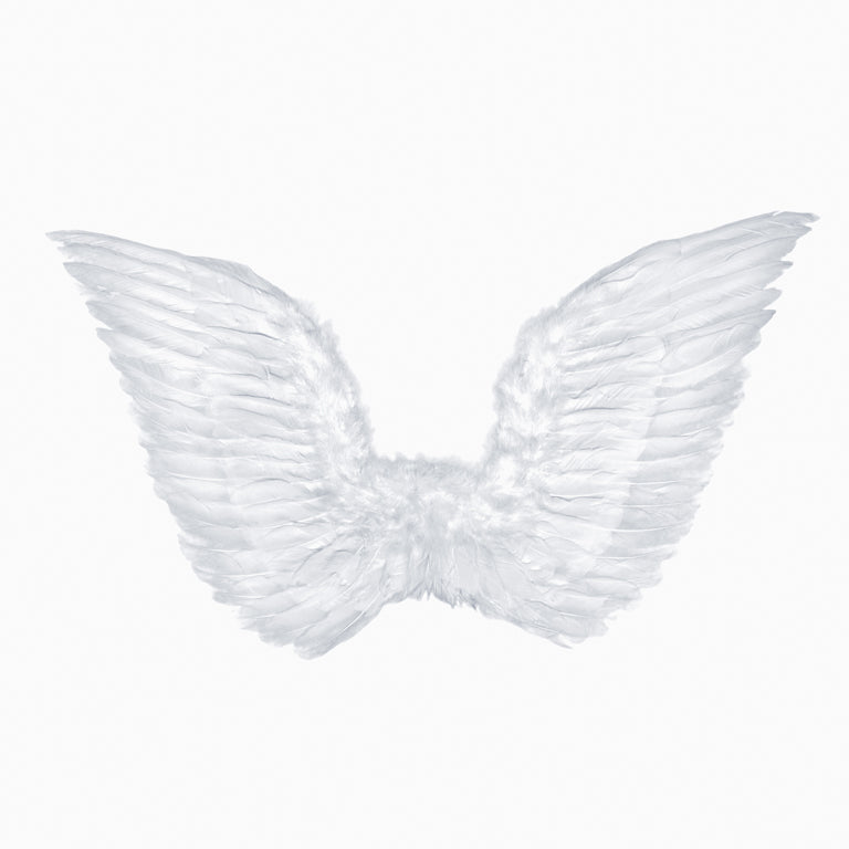 Figurino das asas de anjo