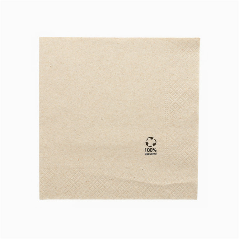 Double layer recycled paper napkins