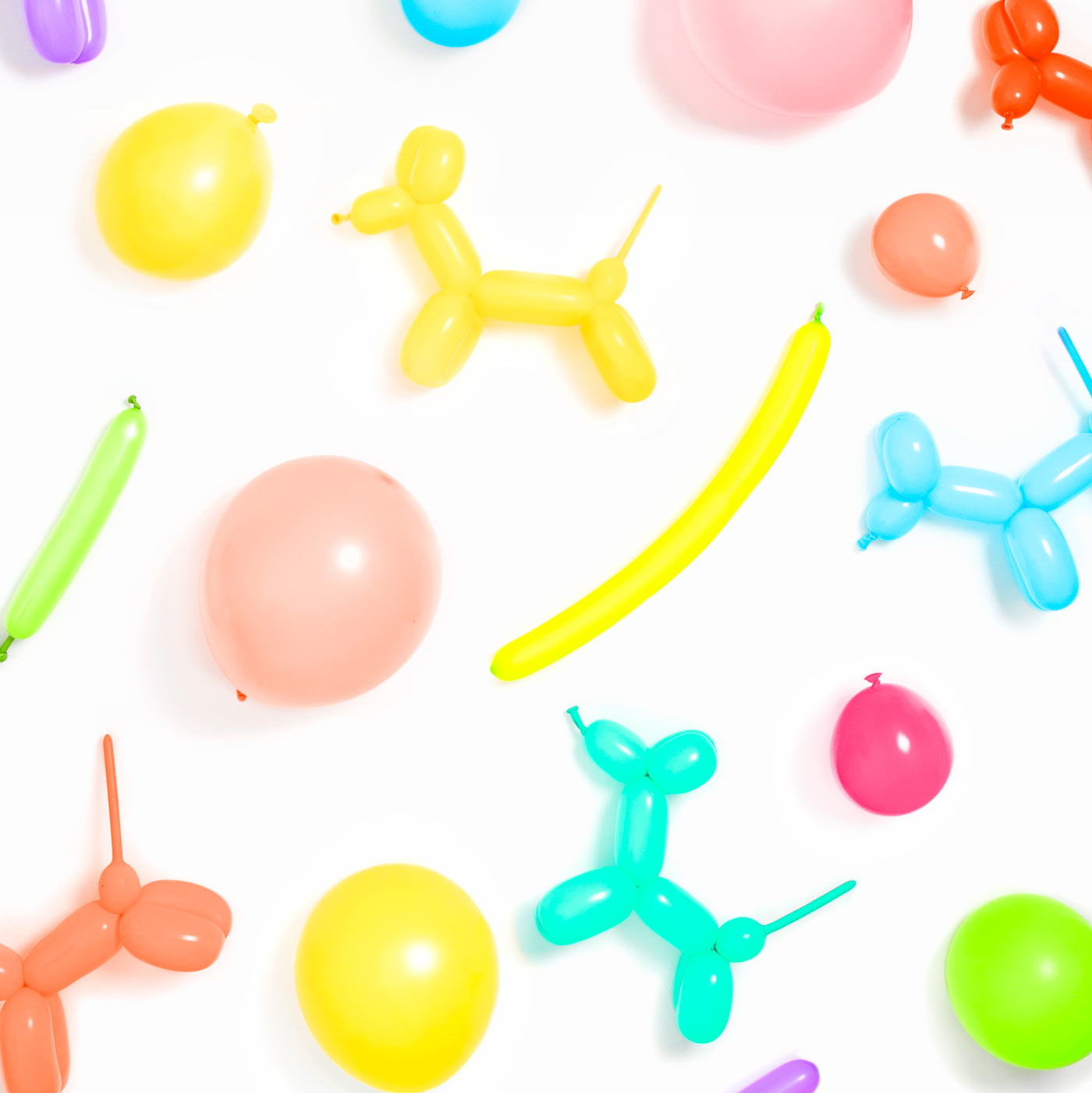 Pastel colored moldable balloon
