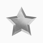Cardon étoile métallisé
