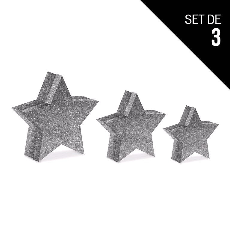 SET BOXES CHRISTMAS SILVER STAR FORM