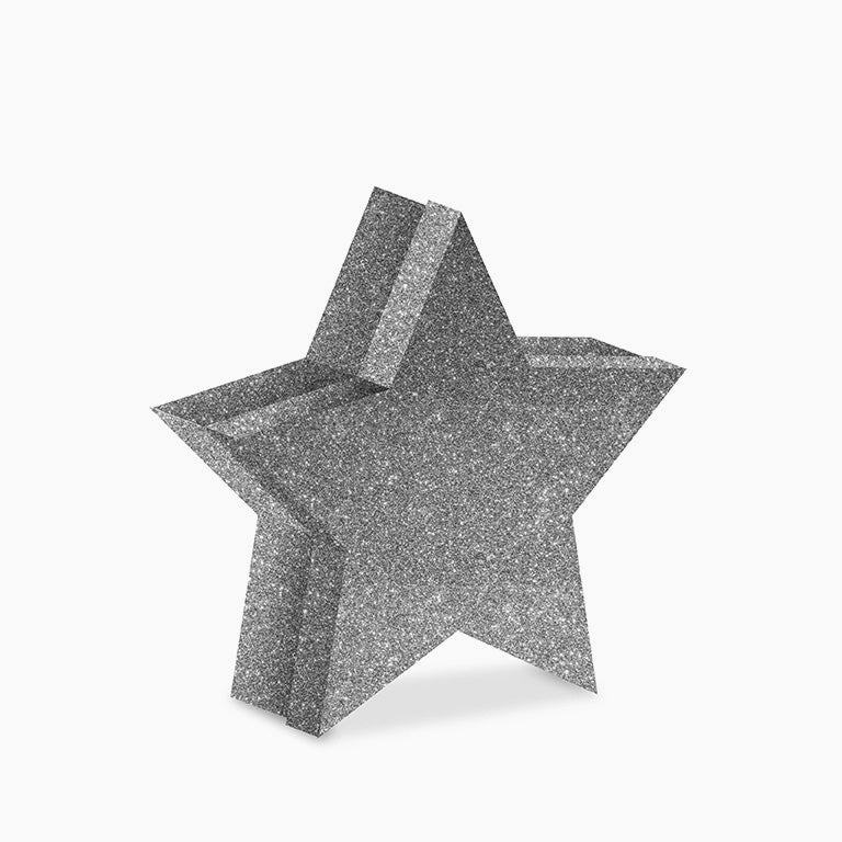 SET BOXES CHRISTMAS SILVER STAR FORM