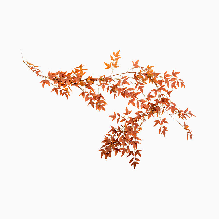 Corona di foglie d'autunno