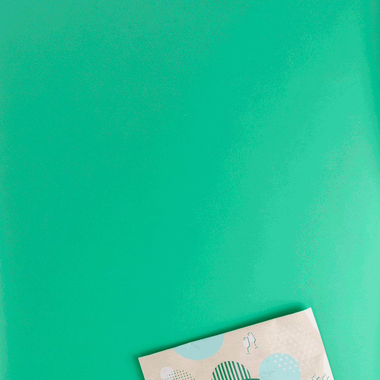 Bolsa de cotillón Biodegradable Nochevieja 5 piezas (48 uds)